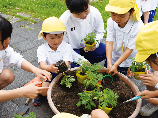 花苗植え